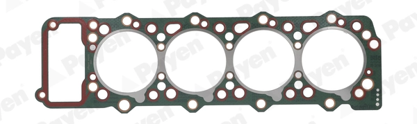 Gasket, cylinder head AA5020