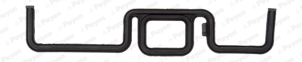 Gasket, timing case JR5031