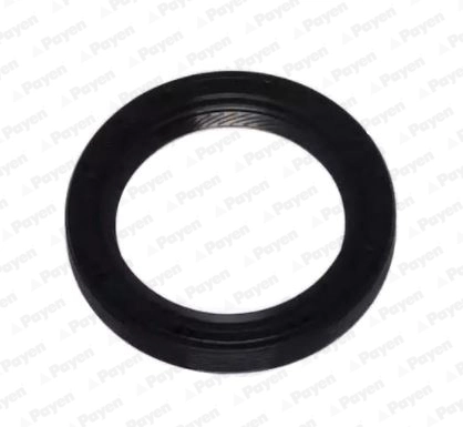 Shaft Seal, crankshaft NA5306