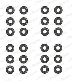 Seal Set, valve stem HR5062