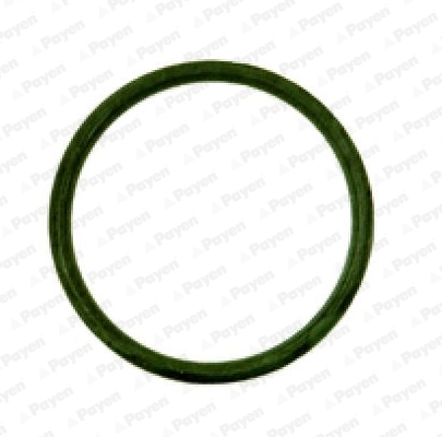 Gasket, intake manifold JD538