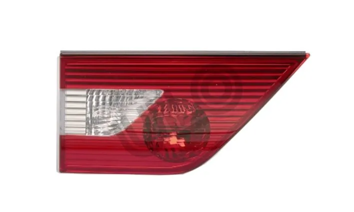 Tail Light Assembly 1001111