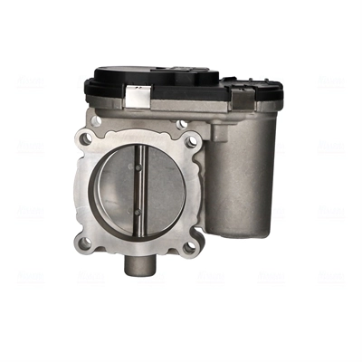 Throttle Body 955118