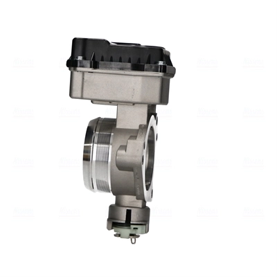 Throttle Body 955206