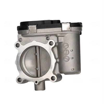Throttle Body 955011