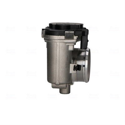 Throttle Body 955118