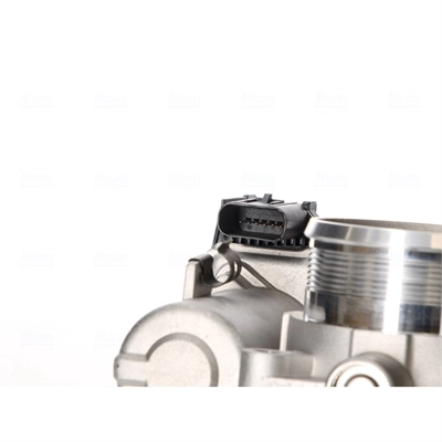 Throttle Body 955118