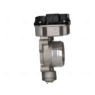Throttle Body 955206