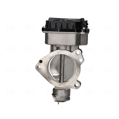 Throttle Body 955206