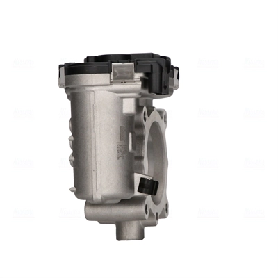 Throttle Body 955011