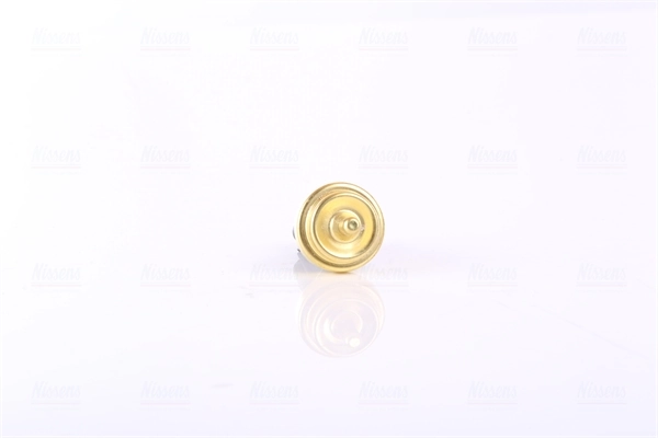 Sensor, coolant temperature ** FIRST FIT ** 207006