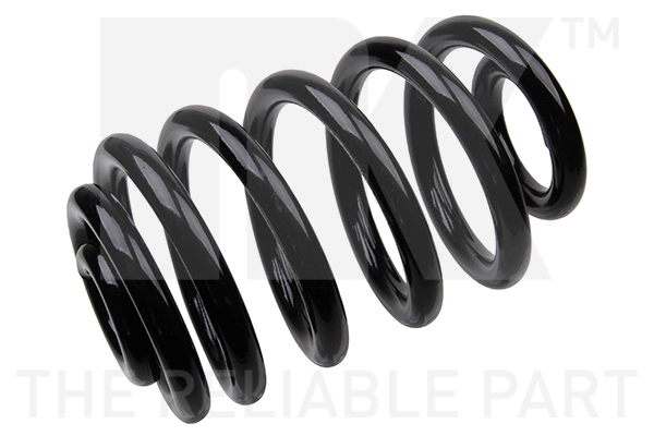 Suspension Spring 541549