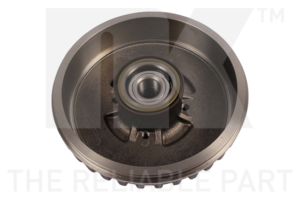 Brake Drum 259910