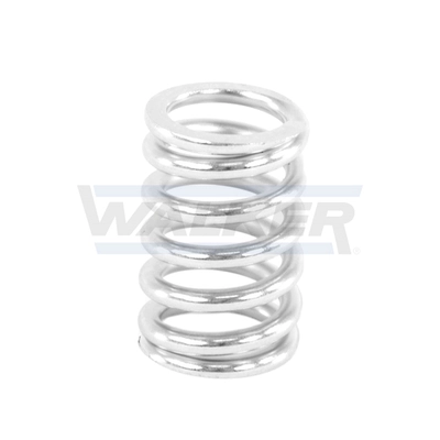 Spring, muffler 80305