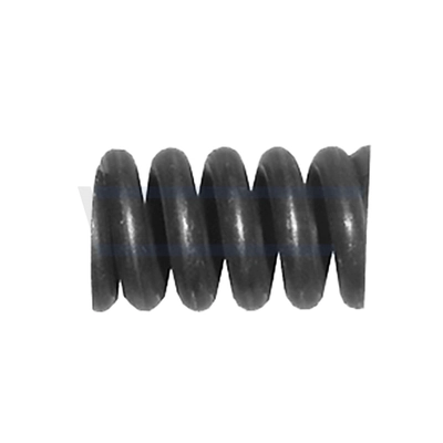 Spring, muffler 80305