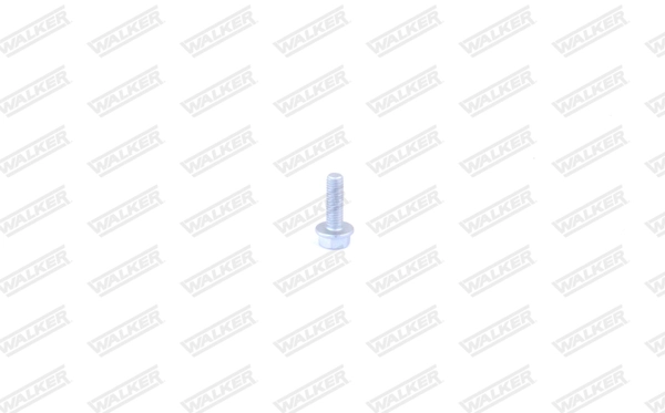 Bolt, exhaust system 80460