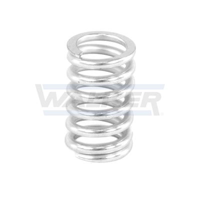 Spring, muffler 82554