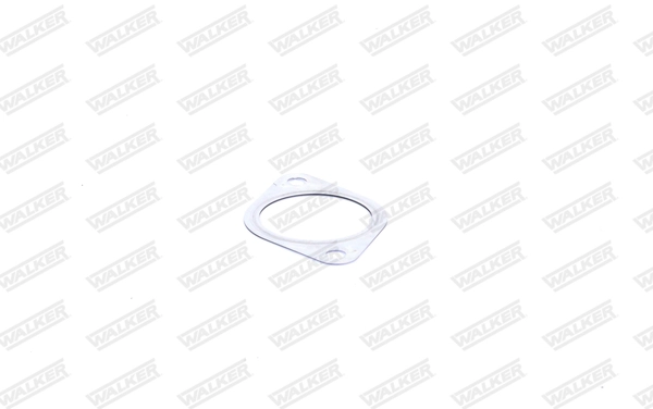 Gasket, exhaust pipe 80505