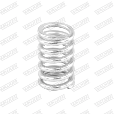 Spring, muffler 82554