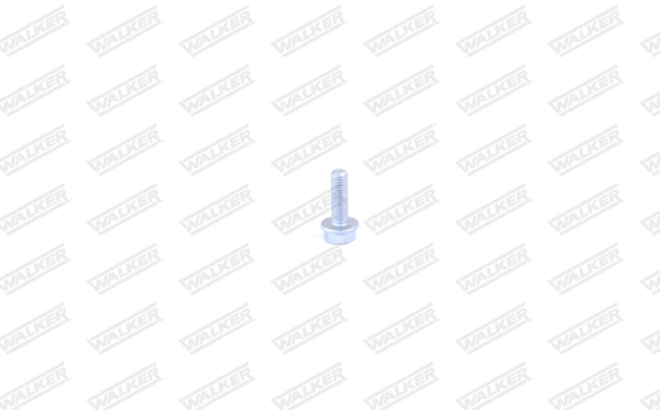 Bolt, exhaust system 80460
