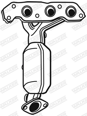 Catalytic Converter 28693