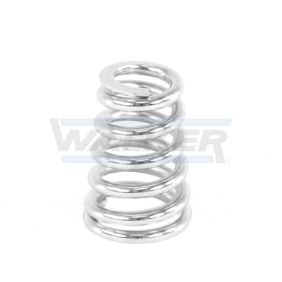 Spring, muffler 82517