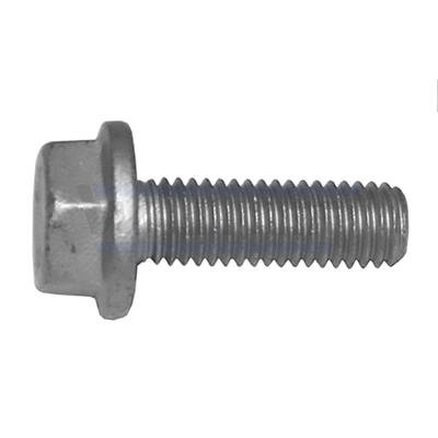 Bolt, exhaust system 80460