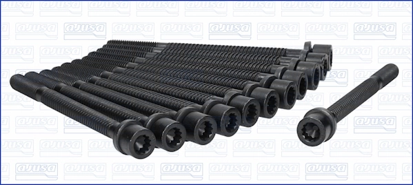 Cylinder Head Bolt Set 81009500
