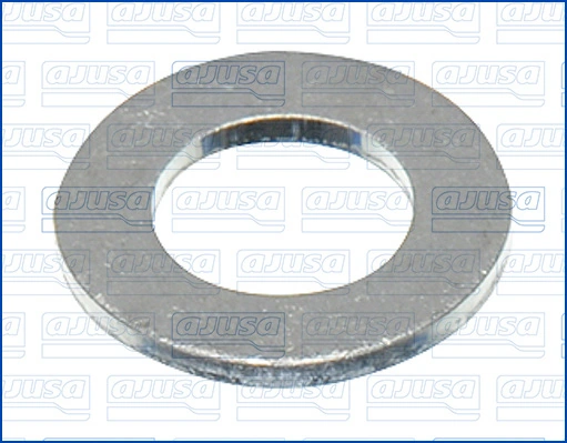 Seal Ring, oil drain plug 22005800