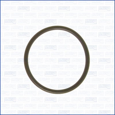 Gasket, coolant flange 16024400