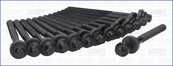 Cylinder Head Bolt Set 81012300