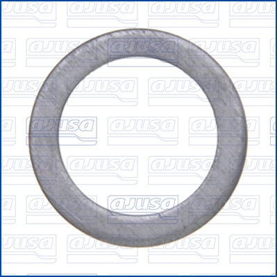 Seal Ring, oil drain plug 22007100