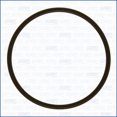Seal Ring 16028400