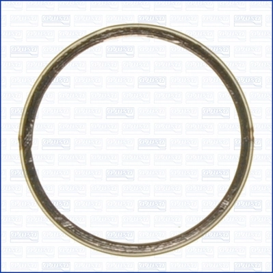 Seal Ring, exhaust pipe 19005300