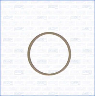 Seal Ring, oil drain plug 22004800