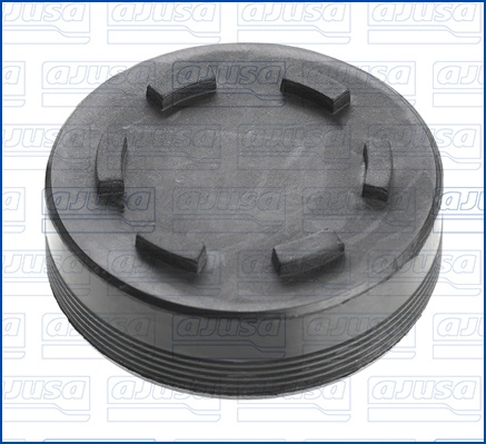 Seal, camshaft seal cap 00856500