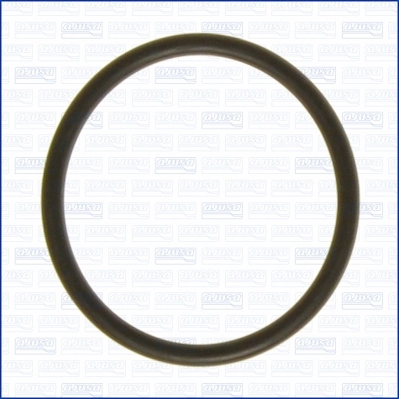 Seal, thermostat 16072700