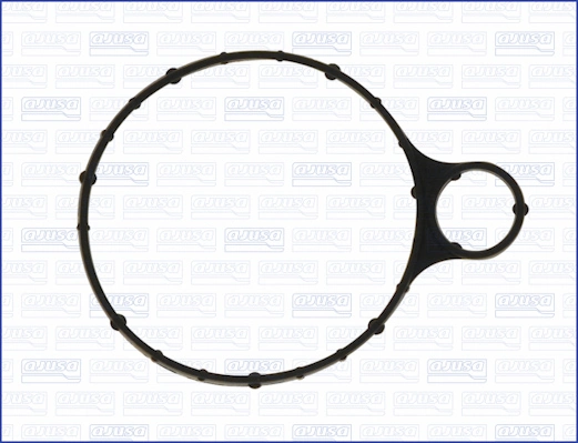 Gasket, vacuum pump 01302500