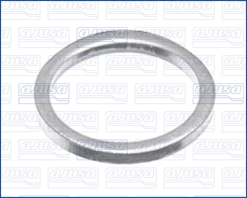 Seal Ring, oil drain plug 22004800