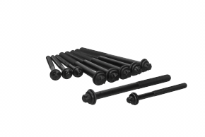 Cylinder Head Bolt Set 81071100