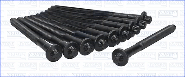 Cylinder Head Bolt Set 81008000
