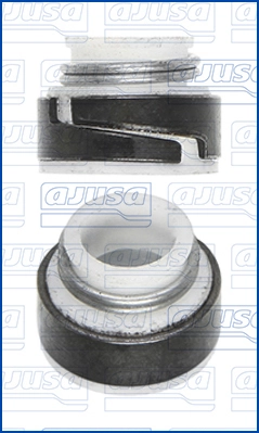 Seal Ring, valve stem 12002800