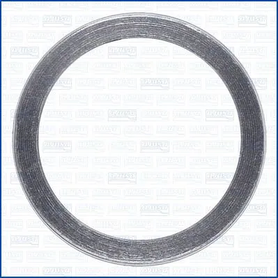 Seal Ring, exhaust pipe 19007400