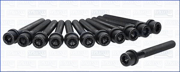 Cylinder Head Bolt Set 81000500