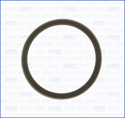Seal, thermostat 00975700