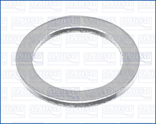 Seal Ring, oil drain plug 22007000