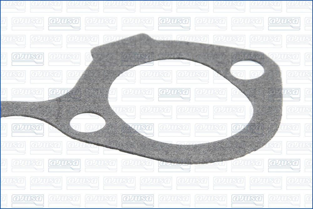 Gasket, intake manifold 13020100