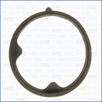 Seal, thermostat 01110700