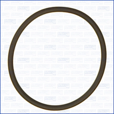 Gasket, vacuum pump 16108300