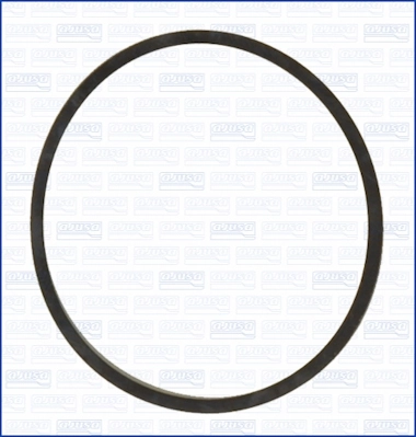 Gasket, coolant flange 24028600
